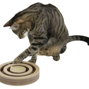 Katze spielend mit Denk- und Lernspielzeug Exciting